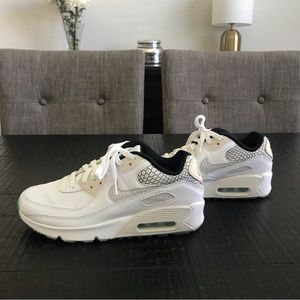 Big kids Nike Air Max 90 SE